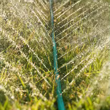 Furtun de gradina 30m